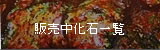 販売中化石一覧