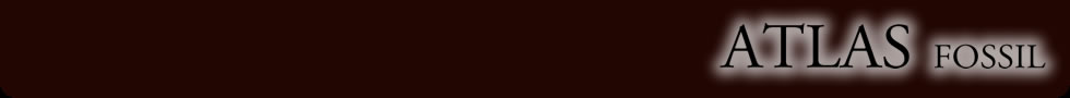 ATLAS FOSSIL