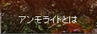 アンモライトとは