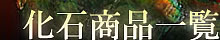 販売中化石一覧