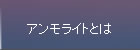 アンモライトとは